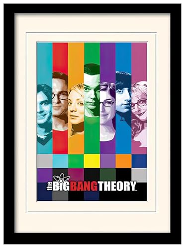 1art1 The Big Bang Theory Póster...
