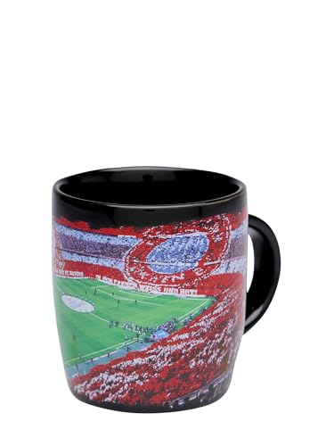 FC Bayern München Taza Arena