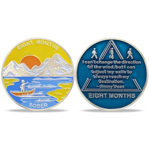 8 meses de sobriedad moneda AA chips y...