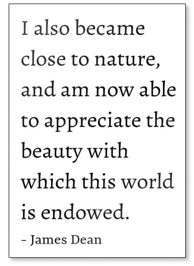 Imán para nevera con cita de James...