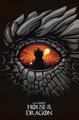 GB Eye GBYDCO207 Maxi Poster Game of...