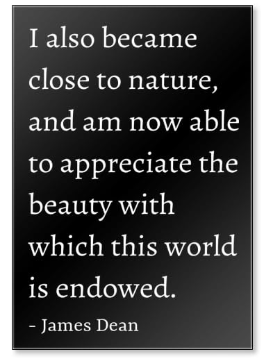 Imán para nevera con cita de James...