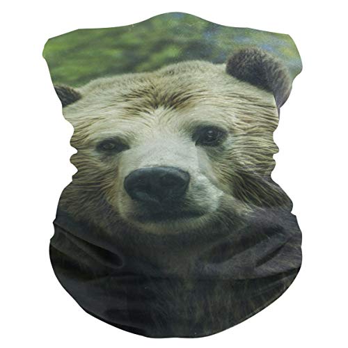 Hengpai - Polainas para el cuello del...