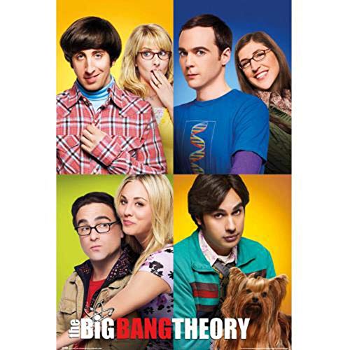 Grupo Erik Poster the big bang theory...